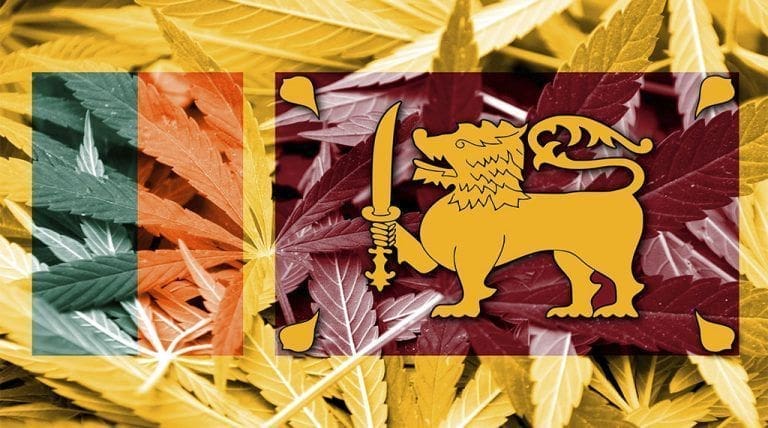 Sri Lanka marihuana un trabajador camello y una chica de compañia blog de sri lanka