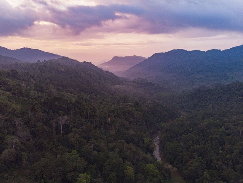 Vistas de Sinharaja Forest Reserve paisaje sitios patrimonio de la UNESCO en Sri Lanka