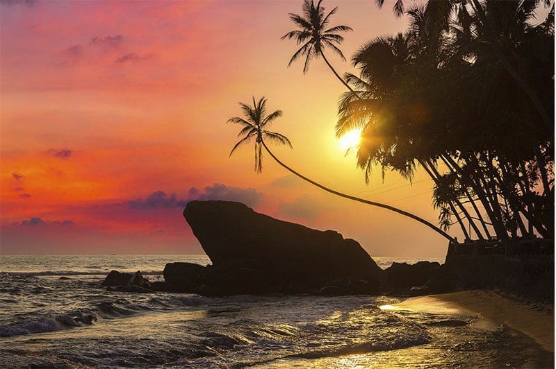 atarceder en Dalawella Unawatuna cual es la mejor epoca para viajar a sri lanka