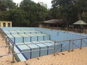 campos entrenamiento LTTE piscina