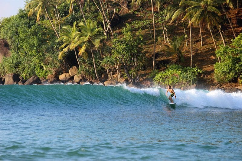 que hacer en Mirissa surf en Reef Breack vistas