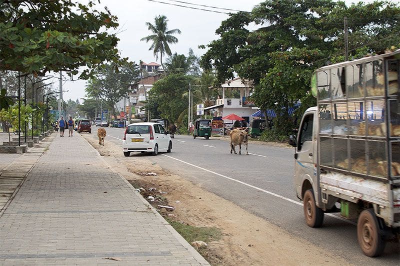 Calle del centro de Weligama