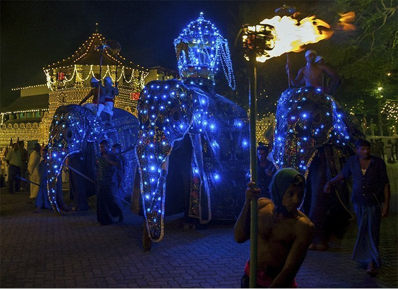 Kandy Esala Perahera en Sri Lanka foto nocturna con elefantes iluminados