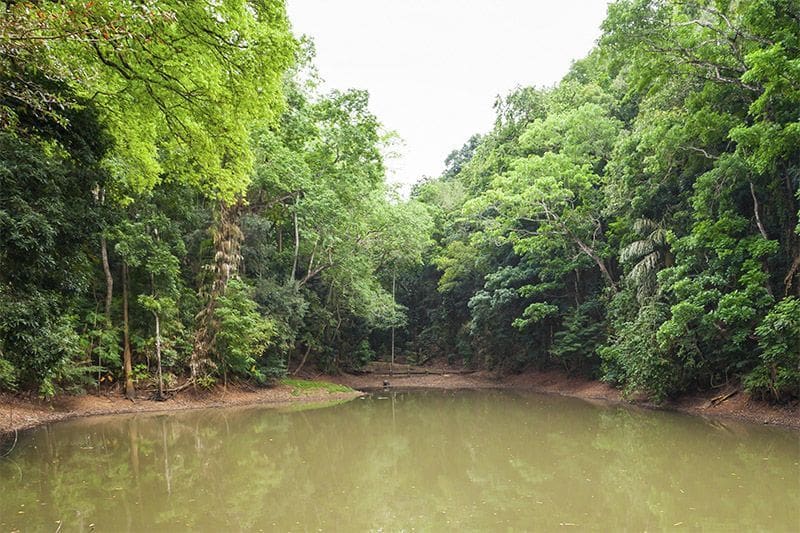 Piscina real en el bosque Udawatta que ver en Kandy Sri Lanka