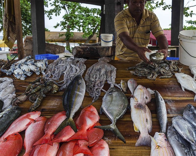 puesto de pescado en la bahía de Weligama