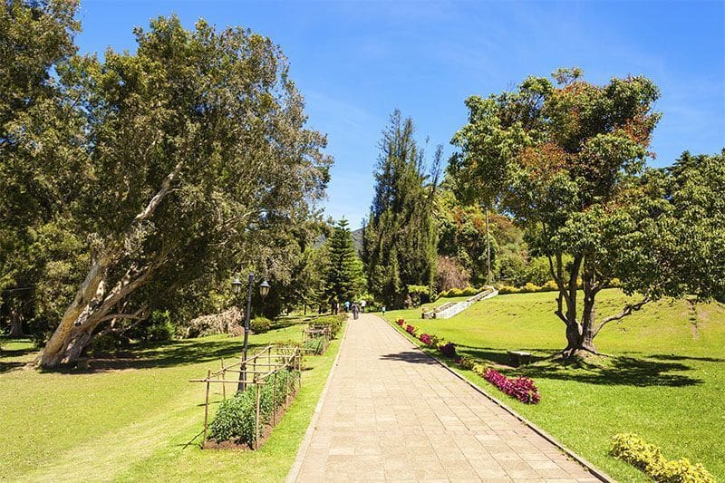que hacer en Nuwara Eliya Sri Lanka paisaje de cesped y arboleda en Victoria Park