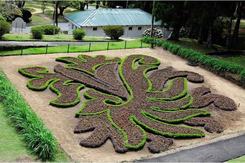 viajar a Nuwara Eliya Sri Lanka obra floral en el Jardín Botánico Hakgala
