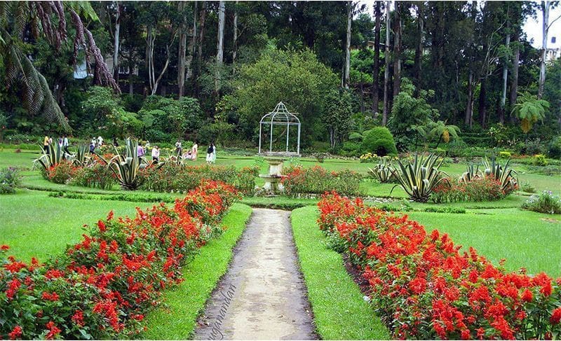 viajar a Nuwara Eliya Sri Lanka paisaje de Jardín Botánico Hakgala