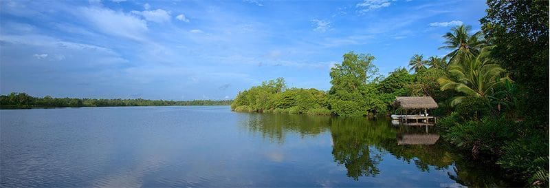 Dedduwa Lake