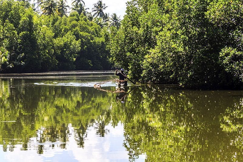local de Sri Lanka en su bote remando en el rio Madu Ganga en la costa oeste de Sri Lanka