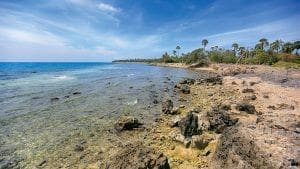 playa al oeste de la Isla de Delft en el norte de Sri Lanka