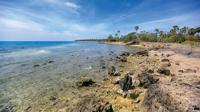 playa al oeste de la Isla de Delft en el norte de Sri Lanka