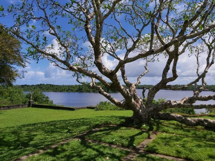 vista de lago Dedduwa Lunuganga desde la hacienda Lunuganga en Bentota