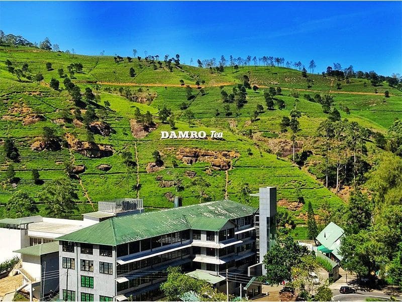 Damro Labookellie Tea Centre en Nuwara Eliya Sri Lanka