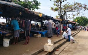 Galle Fish Market