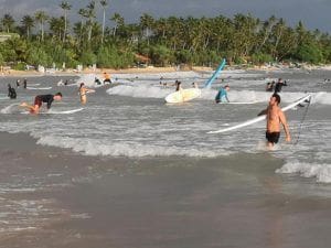 surf gente weligama