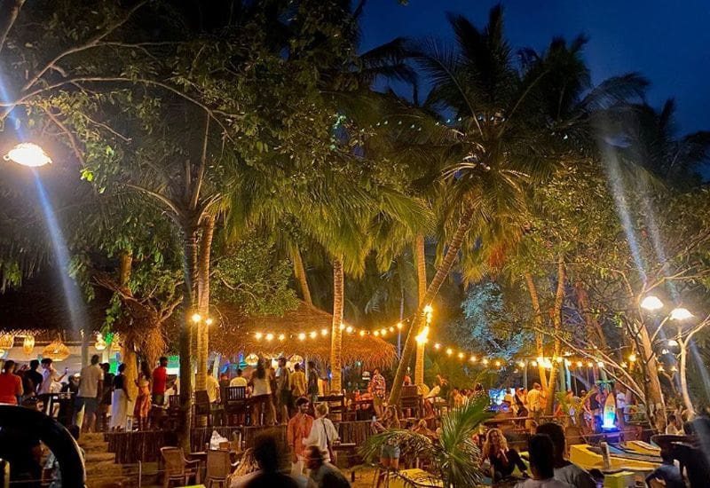 mambos arugam bay de noche
