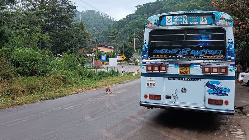 bus local de Sri Lanka en la carretera direccion Badulla