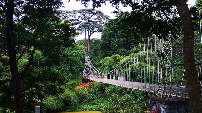 puente colgante el real jardin botanico de peradeniya