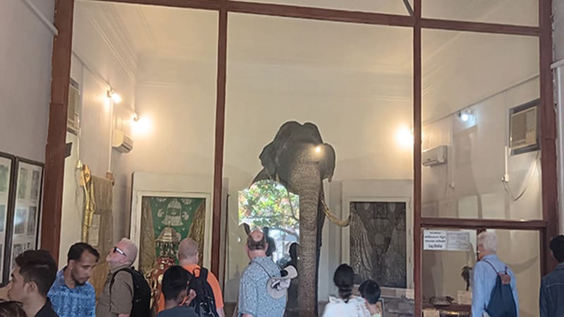salon conmemorativo de Rajah el elefante y visitantes en la ciudad sagrada de Kandy Sri Lanka