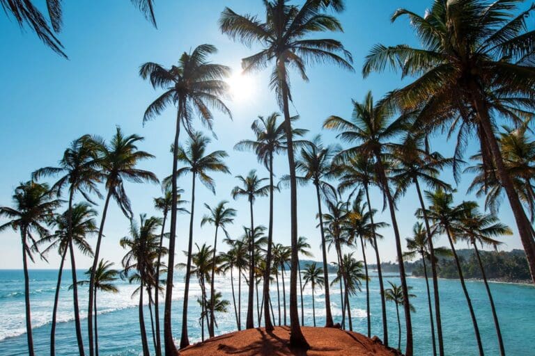 Mirissa Sri Lanka