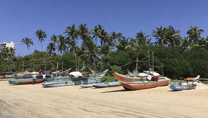 catamaranes en weligama beach