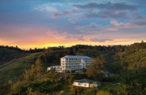 hoteles en Sri Lanka panoramica del hotel Heritance Tea Factory y de las plantaciones de te