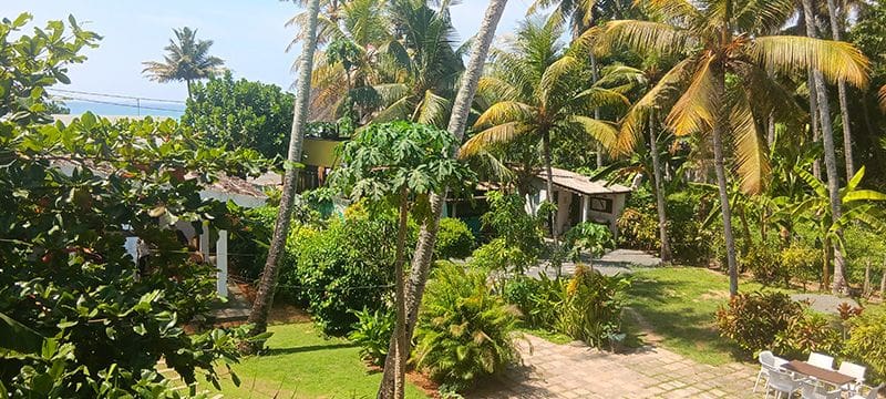 jardin y palmeras de Mellow Hostel Ahangama