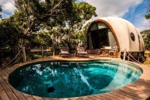 tienda y piscina en Wild Coast Tented Lodge Yala hoteles en sri lanka