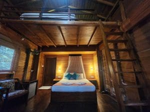 habitacion en hotel casa arbol en wilpattu