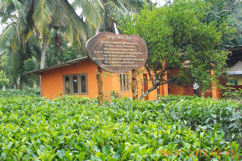 Handunugoda Tea Estate