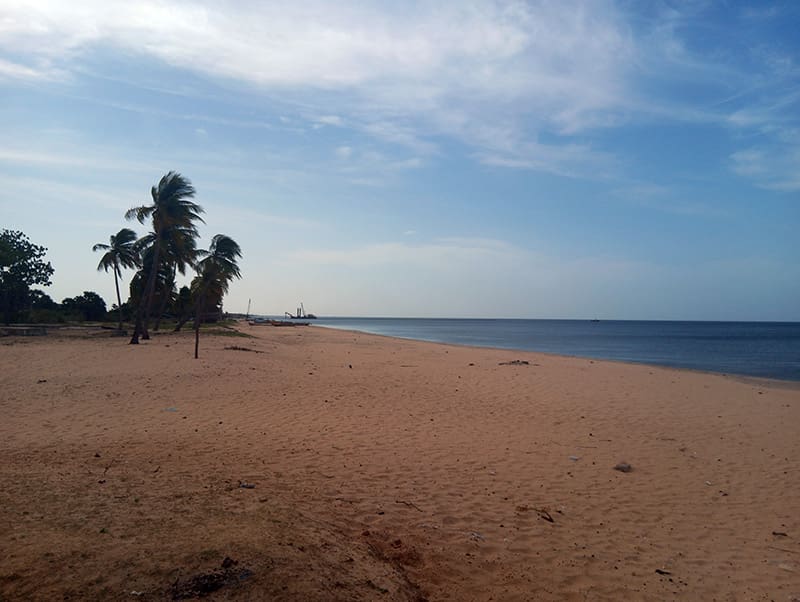 Thaalayadi Beach y planta en el oceano