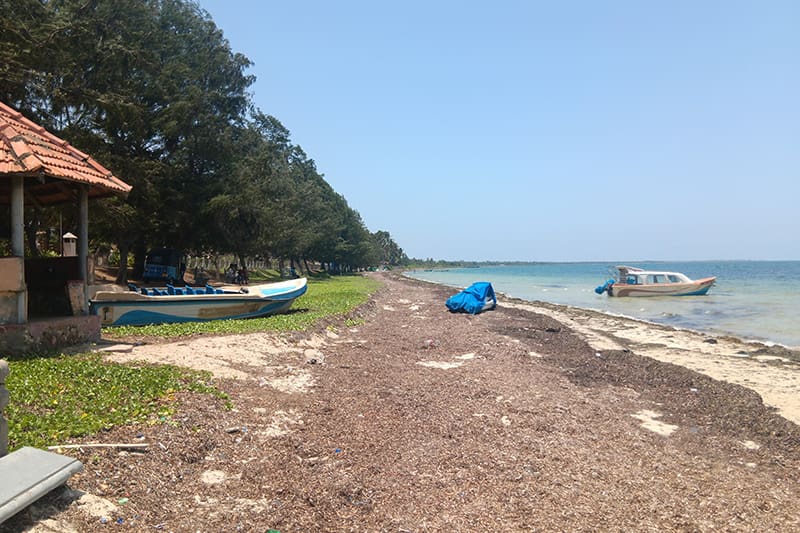 chaddy beach isla kayts jaffna norte sri lanka