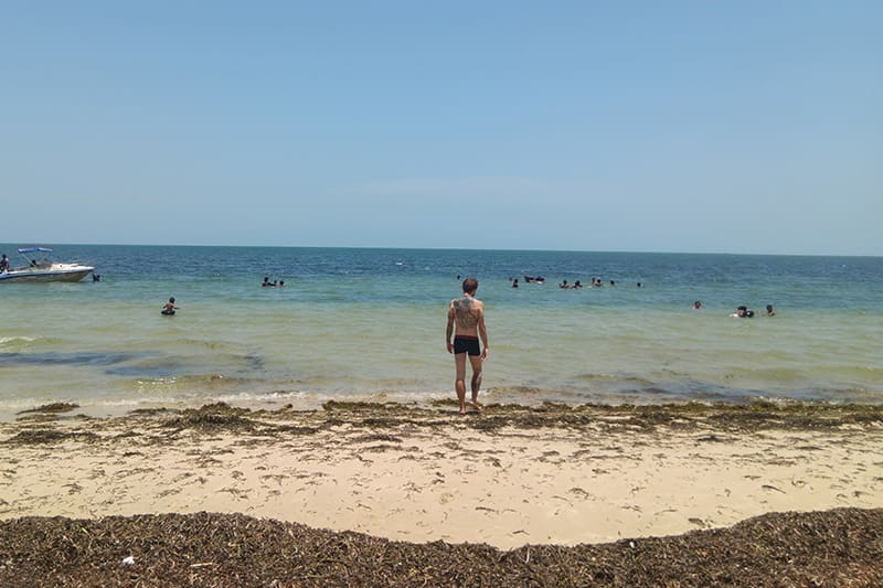 chaddy beach jaffna