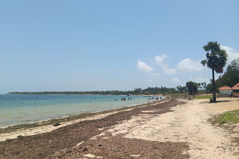 chaddy beach jaffna sri lanka