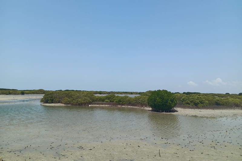 paisaje en Mandathivu Jaffna