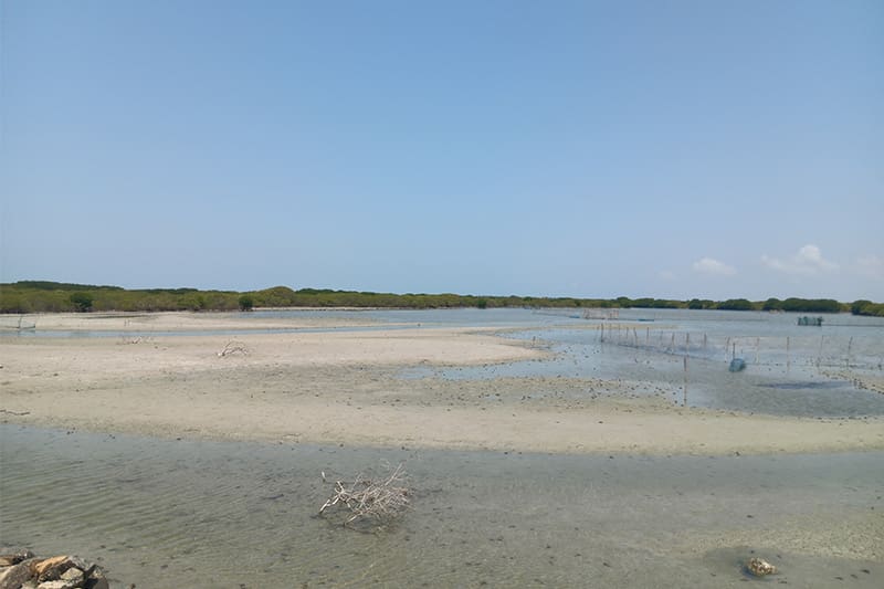 pesca en la isla Mandathivu