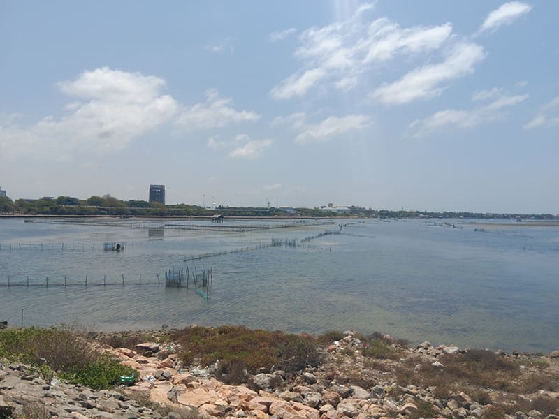 vistas de Jaffna desde el puente de Pannai