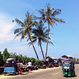 actividades en sri lanka surf y mas