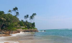 Jungle Beach Weligama