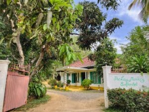 Lazy Monkey Surf Hostel entrada