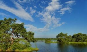 laguna Kalametiya y Santuario de Aves en Tangalle