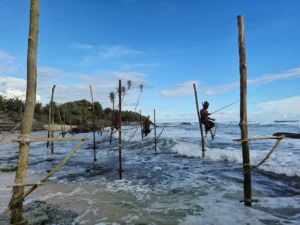 pescadores zancudos Koggala