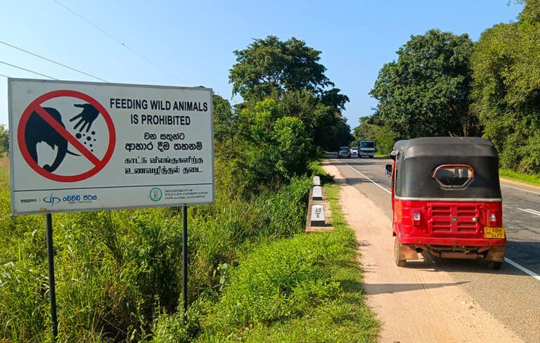 como ir de negombo a sigiriya