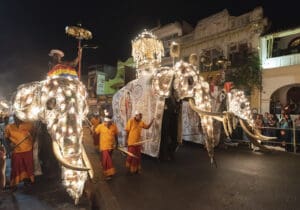elefantes y procesion en Kandy