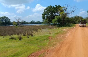 paisaje en Wilpattu
