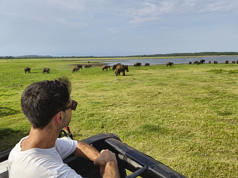 safari sri lanka kaudulla yo elefantes