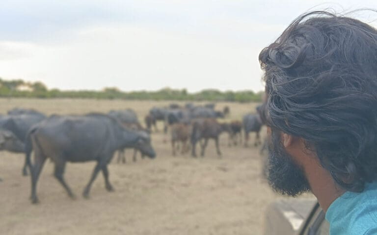 contratar guia en sri lanka