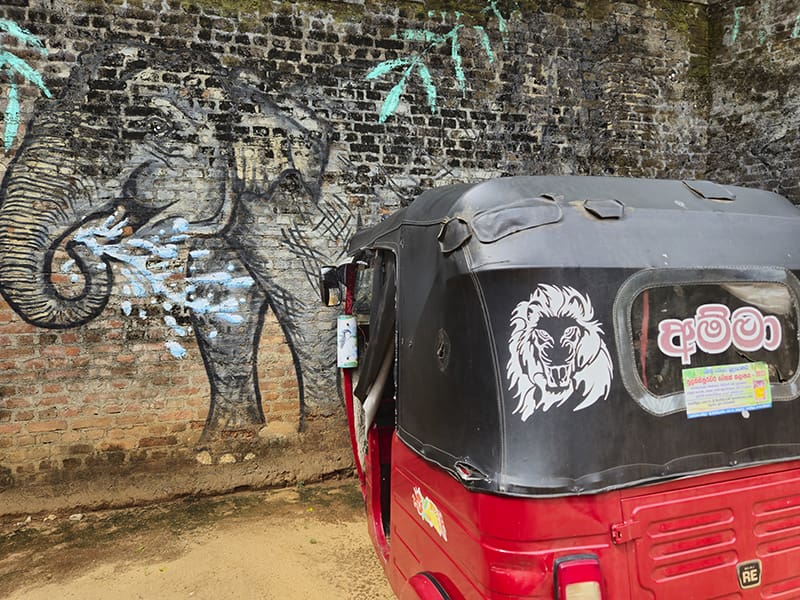 seguridad conduciendo tuk tuk sri lanka