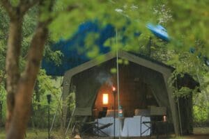 como ir de negombo a wilpattu glamping